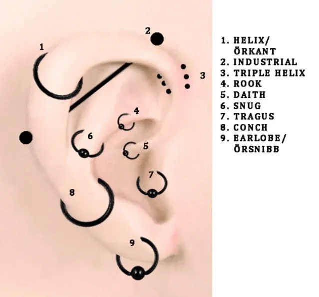 Diagram över piercingplaceringar i örat